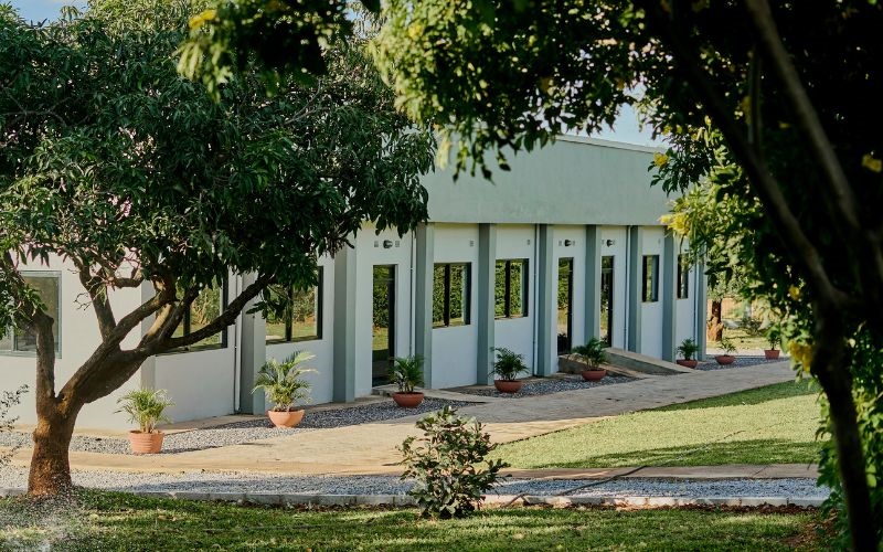 Italian University College Entrance